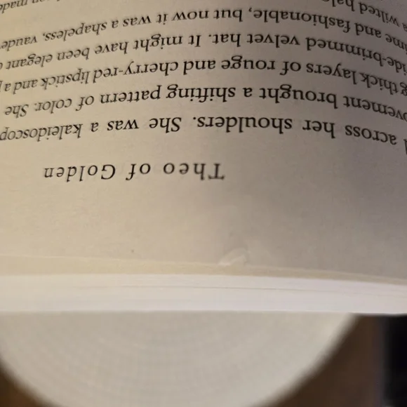 Theo of Golden: A Novel by Allen Levi - 2025 Paperback Book - Picture 9 of 10